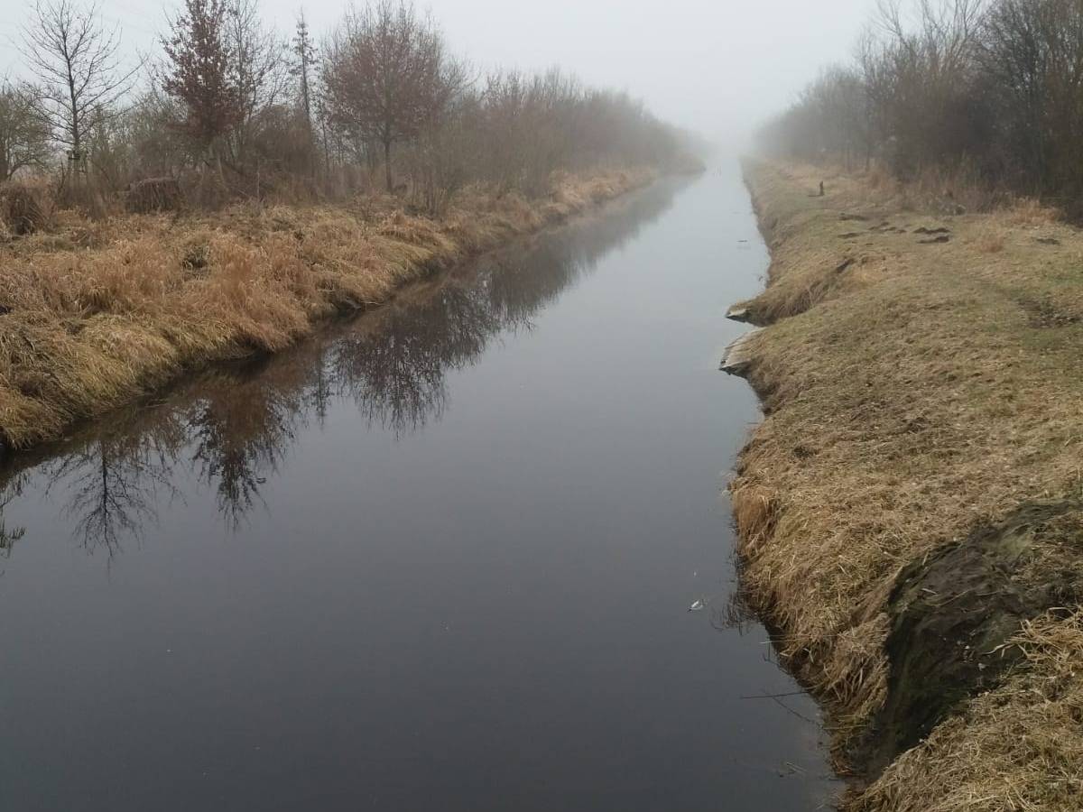 Renteneintritt in Zeiten von Corona (2/2)