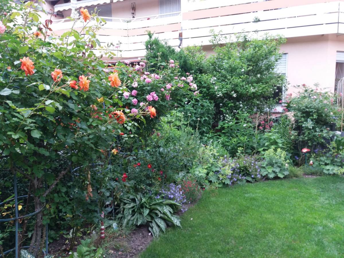 Renteneintritt in Zeiten von Corona (1/2)