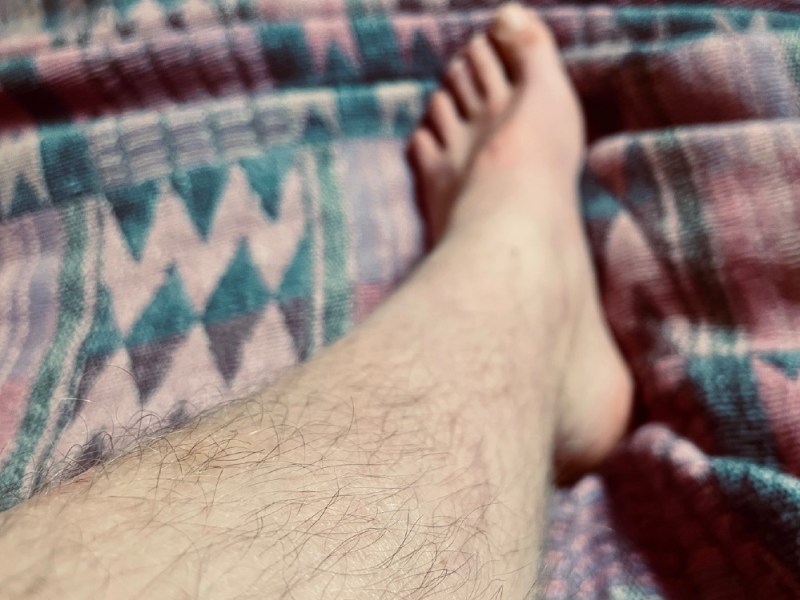 Die Politisierung des Körpers