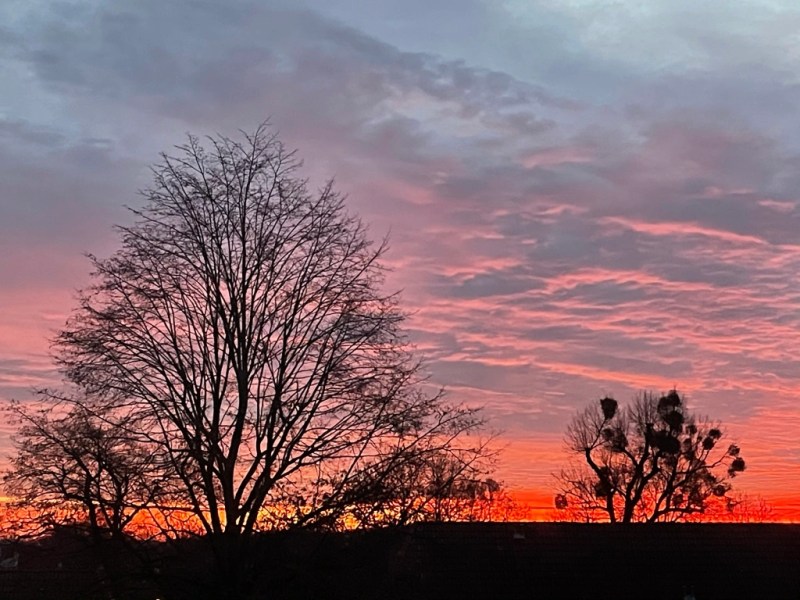 Dienstag: Trost – Ohne Plan am Drive-In Schalter.
