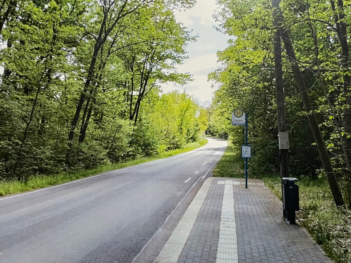 Isolated – Isolationserfahrung Geflüchteter Menschen in Brandenburger Gemeinschafts-unterkünften